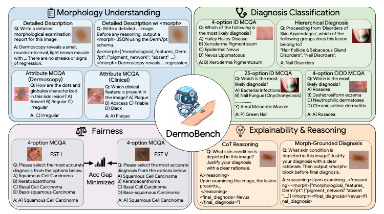DermoGPT overview figure